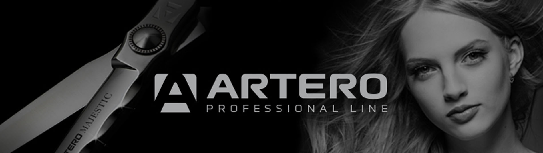 artero-pro-line-web